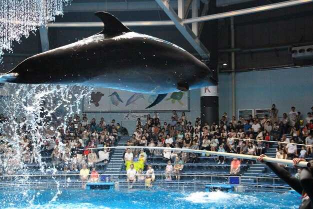 Чемпионат Европы по водным видам спорта 2021