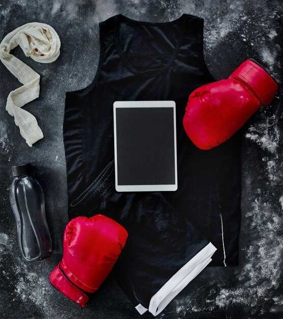 Основные правила и регламенты в MMA-соревнованиях