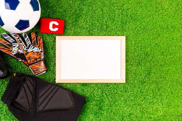 Обсуждение судейских решений и их дискуссионность