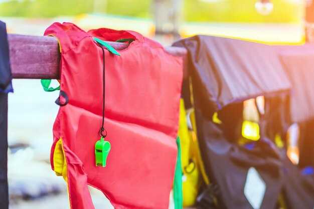 Функции и особенности рюкзаков объемом 20 литров