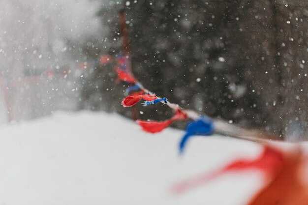 Секреты достижения успеха в горнолыжном спорте