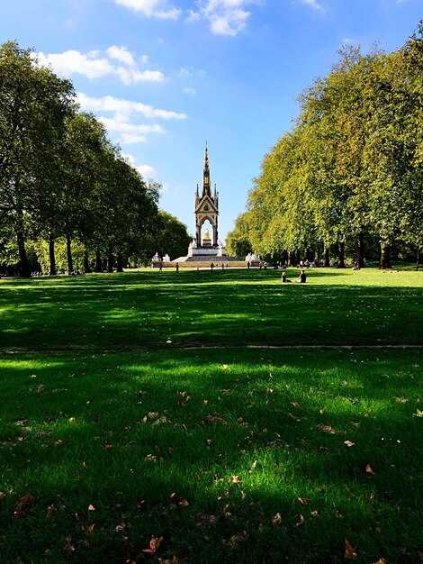 Инфраструктура: дороги и тропы в парке