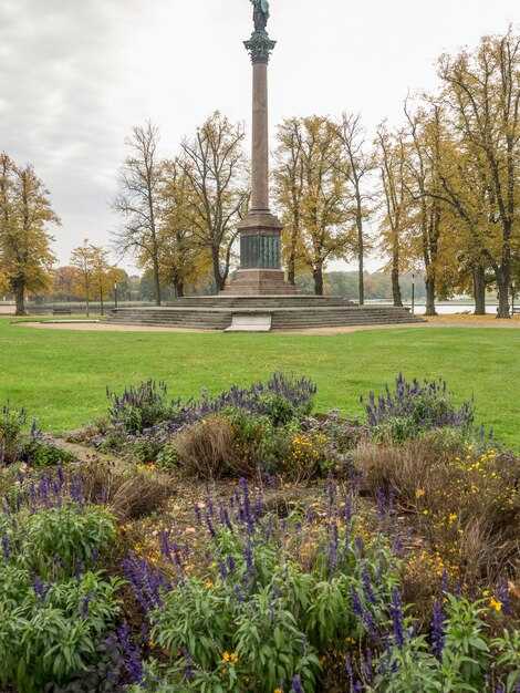 Работа волонтеров и социальные инициативы в парке