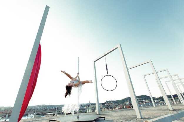 Организация чемпионатов по пилонному спорту в России