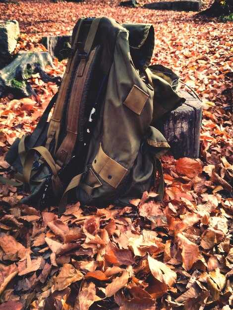 Доступные расцветки и их использование в конкретных условиях